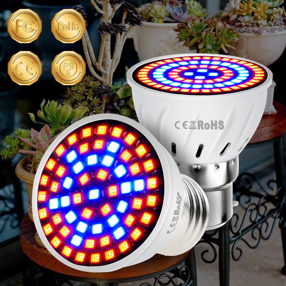 Hydroponic LED Grow Bulb with Different Base