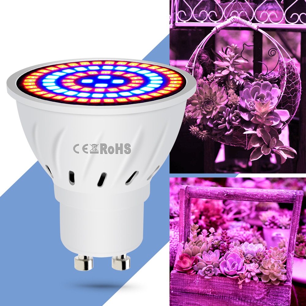 Hydroponic LED Grow Bulb with Different Base